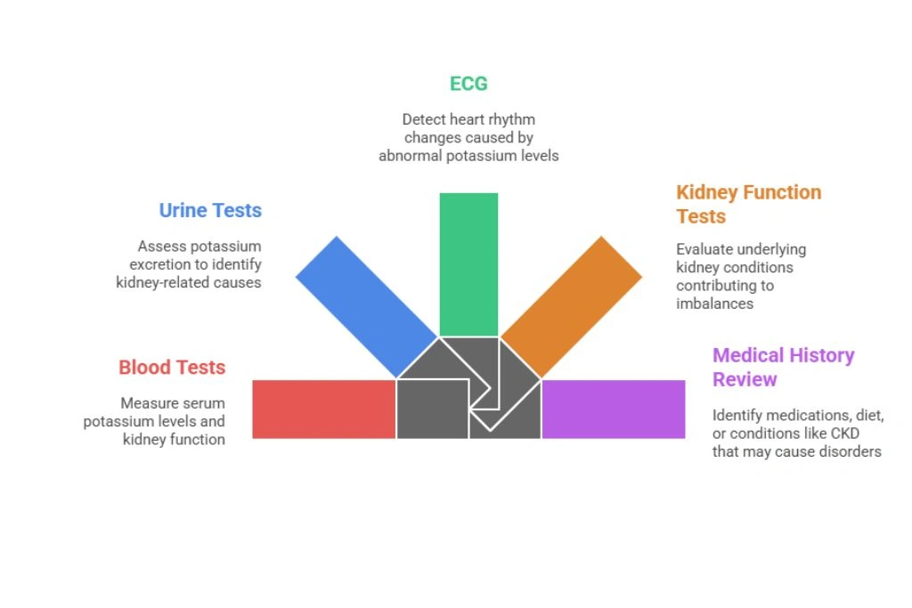 Modern Healthcare Facility
